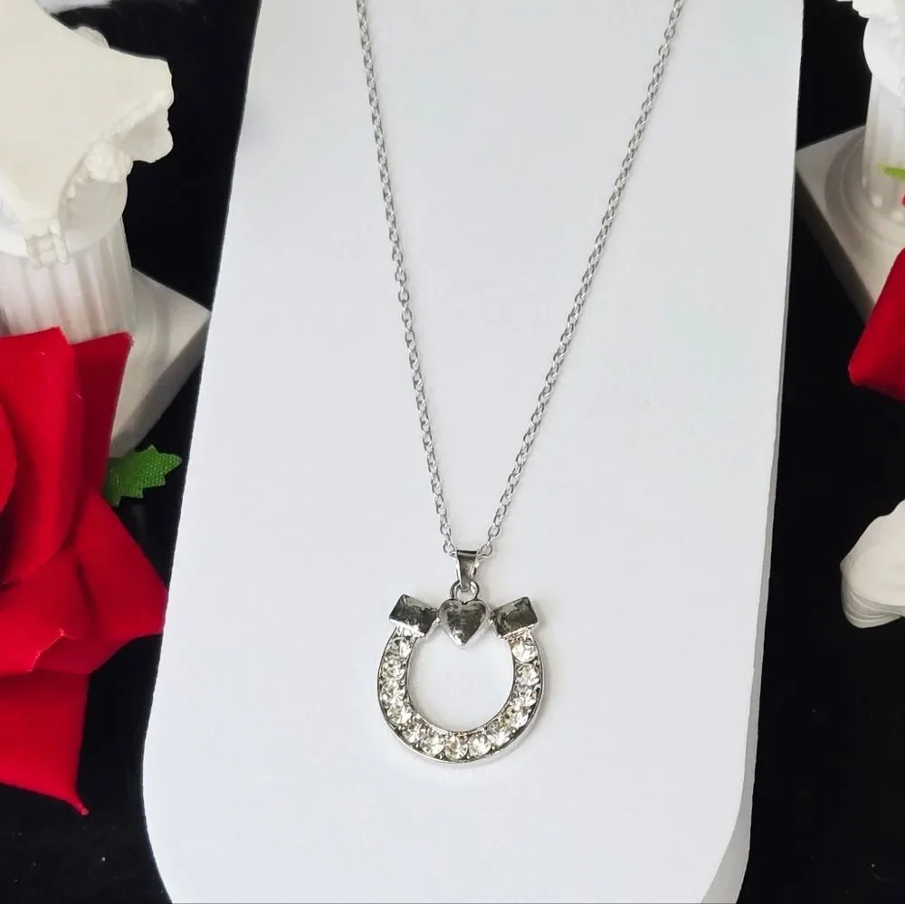 Silver Horseshoe Pendant Necklace Rhinestone Lucky Charm Equestrian Jewelry 20